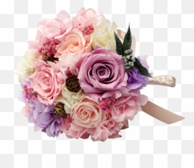 Le Fiori U2013 The Mills - Garden Roses Png,Florals Png