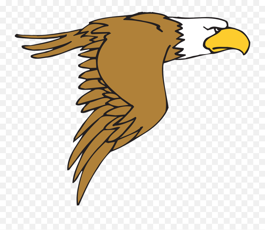 Clipcookdiarynet - Bald Eagle Clipart Soaring Eagle 27 Png,Soaring Eagle Png
