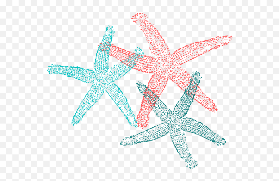 Sscpd46 - Starfish Png Drawing,Sea Star Png