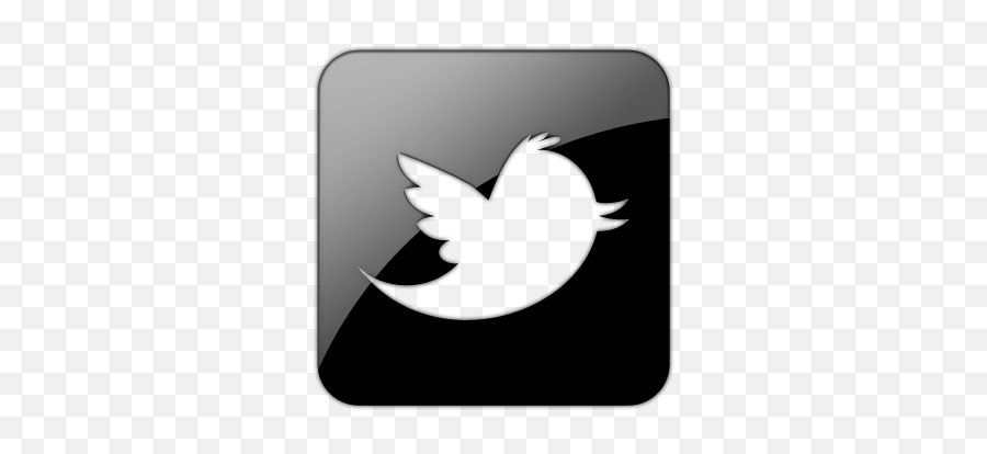 Official Twitter Icon - Twitter Icon Png,Official Twitter Logo