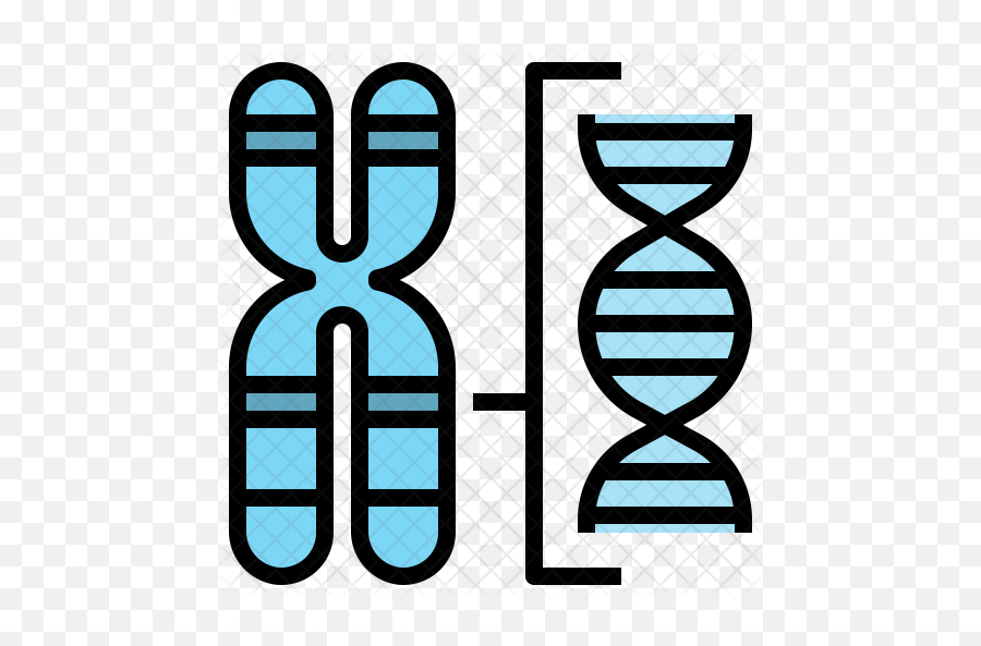 Chromosome Structure Icon Of Colored - Chromosome Icon Png,Chromosome Png