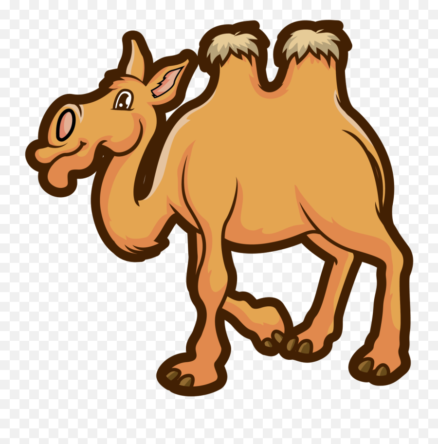 Camel Transparent Domestic Animal - Mammal Png,Camel Transparent