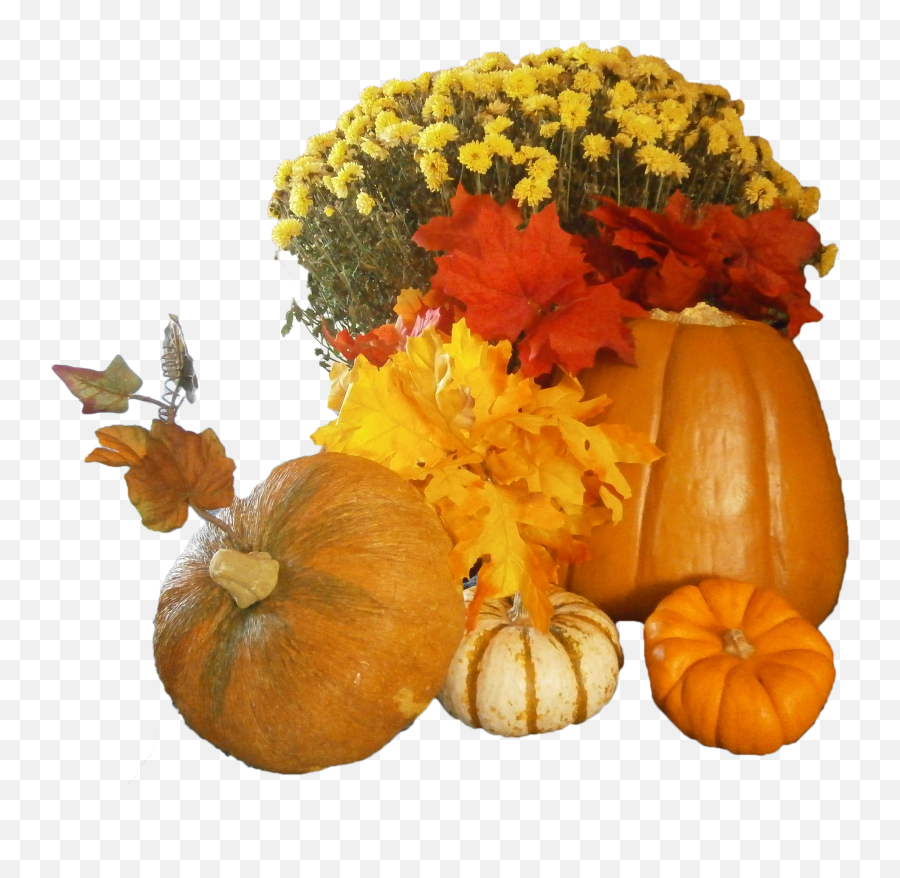 Flowers And Pumpkins Png Image - Thanksgiving Pumpkins Png,Pumpkins Png