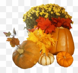 Flowers And Pumpkins Png Image - Thanksgiving