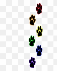 Cat Paw Print Artworktee - Transparent Background Prints Clipart png