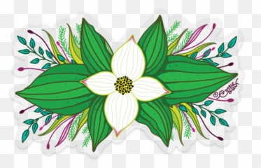 Flowering Dogwood Transparent Png Image - Clip Art,Dogwood Png