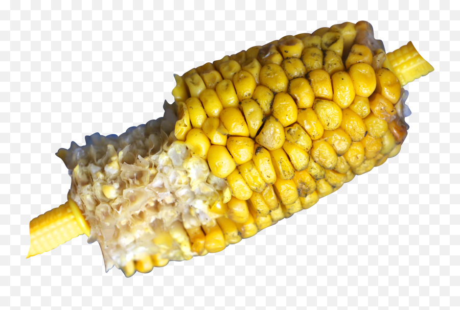 Corn Kernel Png
