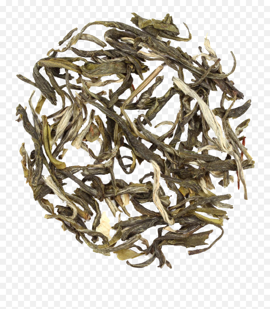 White Lily Green - Golden Monkey Tea Png,White Lily Png