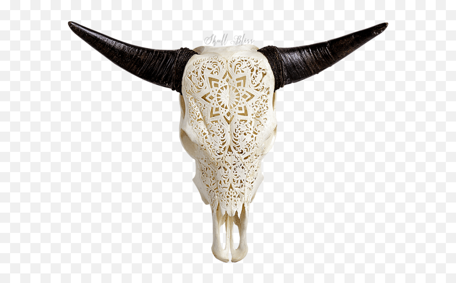 Download Carved Cow Skull Xl Horns - Xl Horns Png Image Bull,Bull Horns Png
