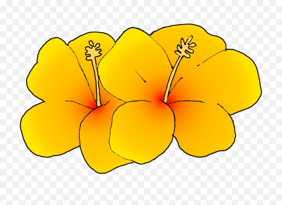 Download Hd Free Flower Clipart - Hawaii State Flower Clip Hawaii State Flower Clipart Png,Flower Clip Art Png