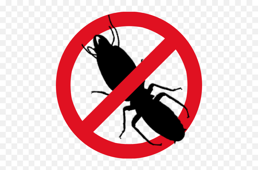 Pest Control Services In Pune - Anti Termite Clipart Png,Termite Png