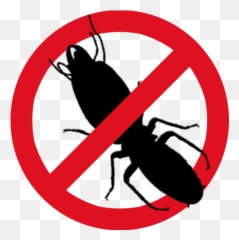Pest Control Services In Pune - Anti Termite Clipart Png,Termite Png