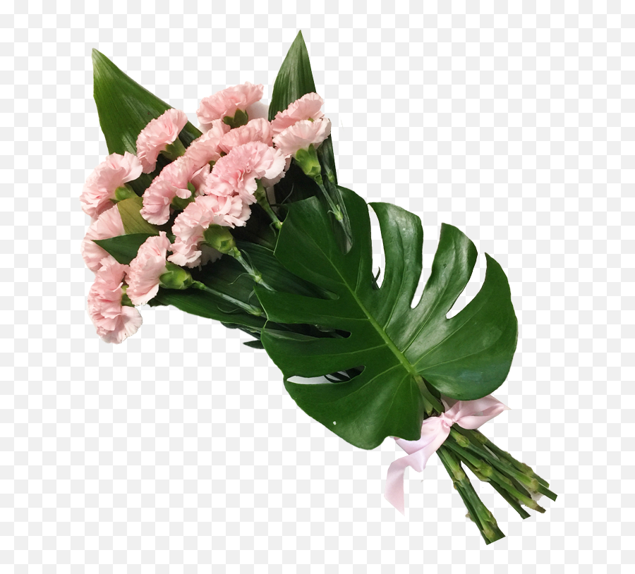 Download Carnation Bouquet - Carnation Full Size Png Image Clip Art,Carnation Png