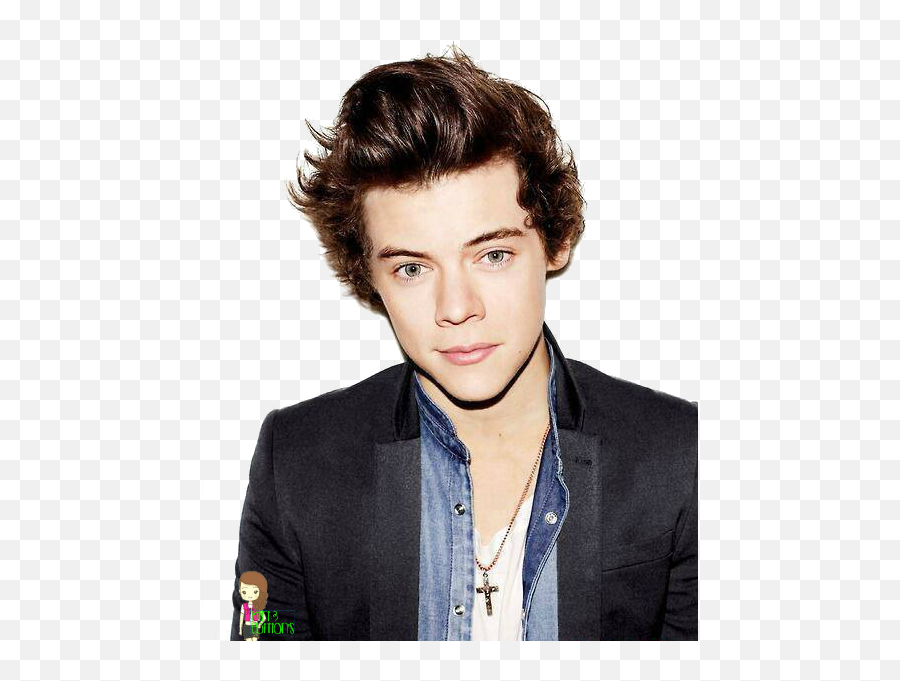 Harry Styles 2013 Brit Awards The X Factor One Direction - Harry Styles Face Png,Harry Styles Png