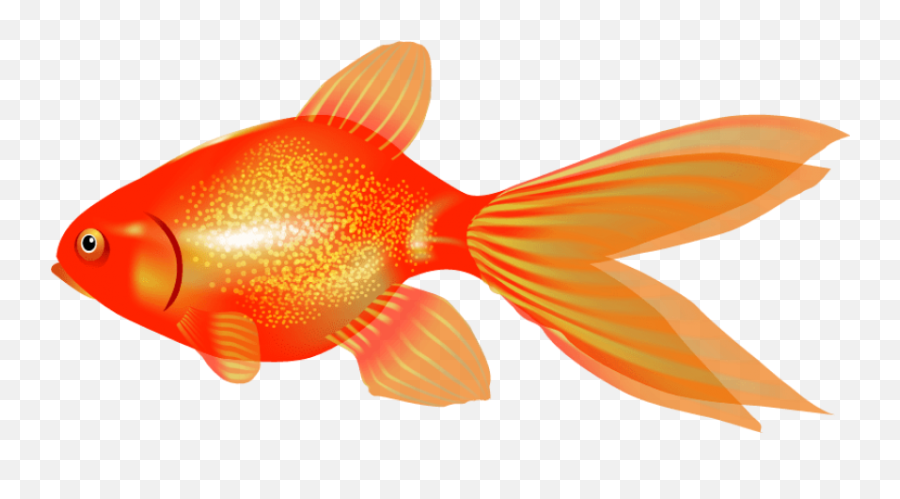 Png Goldfish Images Transparent - Gold Fish Graphic Clip Art Transparent Background,Goldfish Transparent