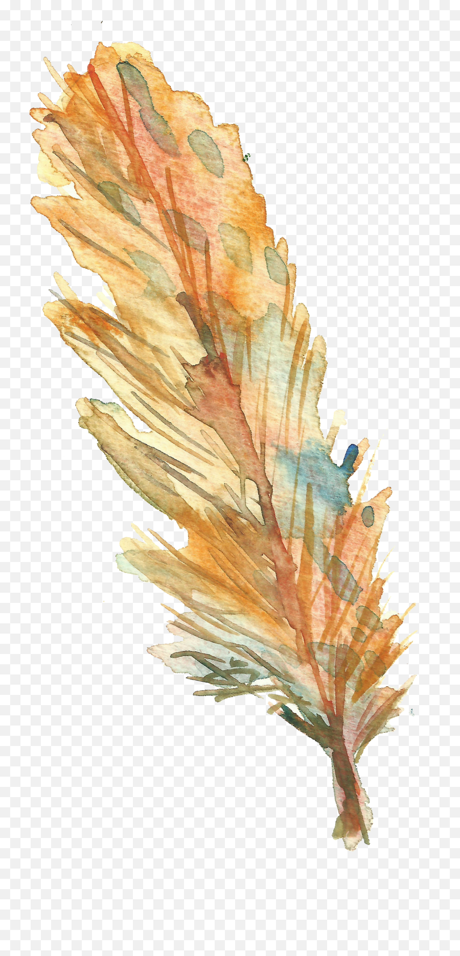 Download Bird Feather Drawing - Fine Arts Png,Feather Drawing Png