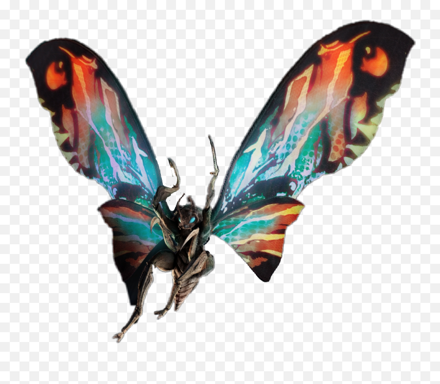 Godzilla Mothra Sticker - Mothra Transparent Png,Mothra Png