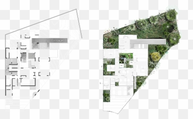 Download Hd Cj 12 Jardin Planta 1 - Jardin En Planta Png Jardin Planta Png,Cj Png
