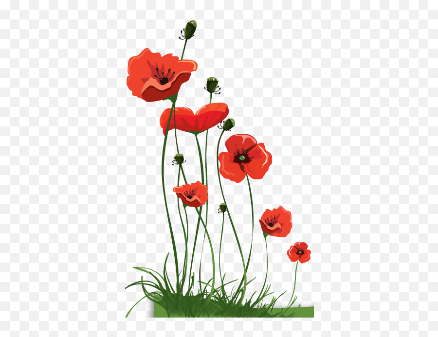 395x615 Pixel - Transparent Background Poppies Png,Poppies Png