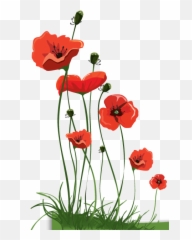 395x615 Pixel - Transparent Background Poppies Png,Poppies Png