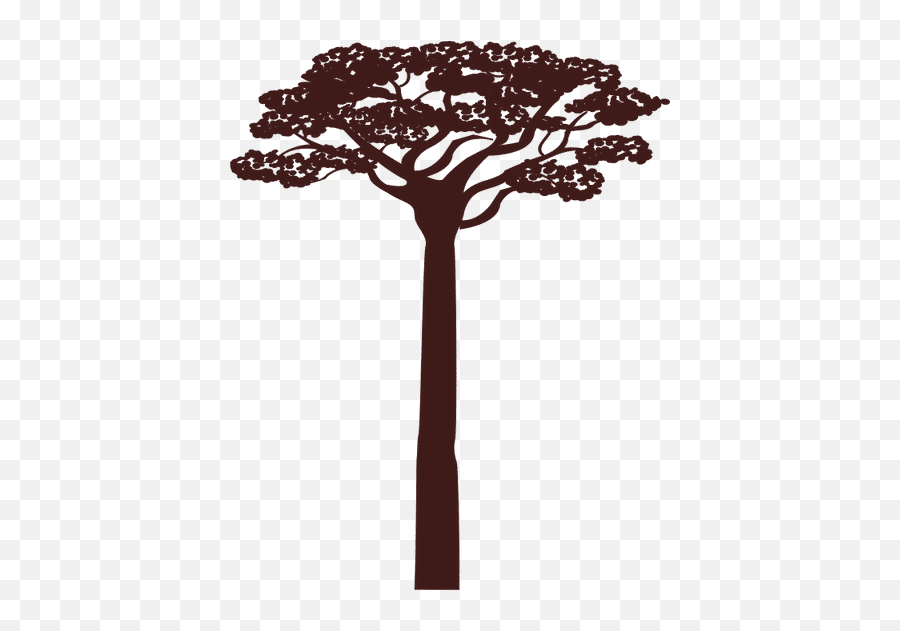 Africa Acacia Tree - Canva Acacia Png,Acacia Tree Icon