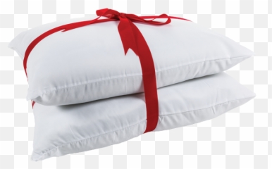 2pk Standard Bed Pillows Png Pillow