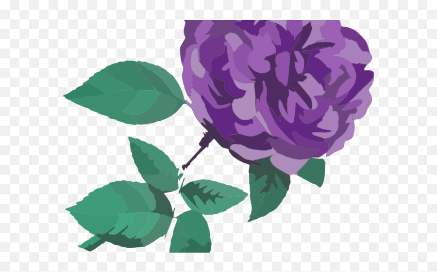 Download Purple Rose Clipart - Flower Clipart No Background Png,Rose Clipart Transparent Background