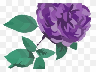 Download Purple Rose Clipart - Flower No Background png