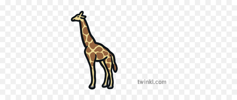 Giraffe Map Icon African Mammal Long - Northern Giraffe Png,Giraffe Icon