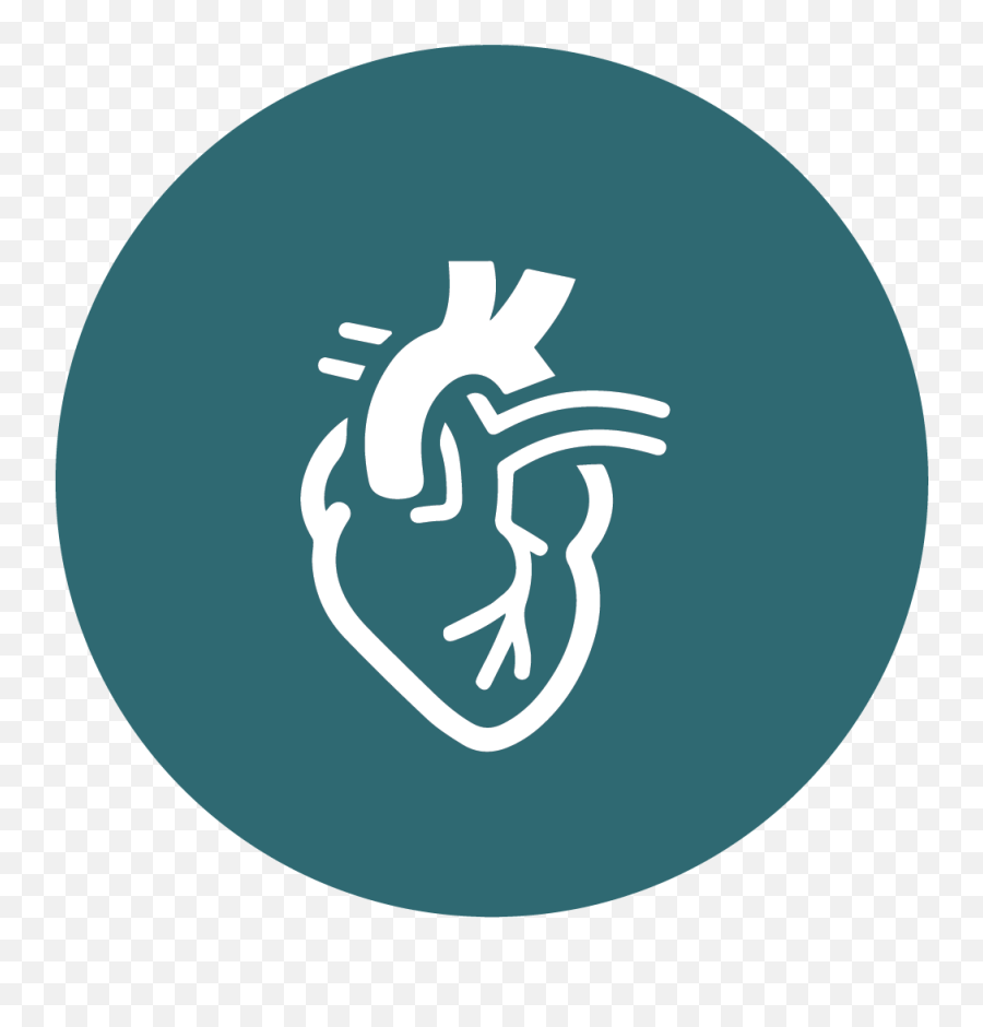 Vascular Surgery Hospitals In Delhi - Cardiovascular Icon Png,Cardiology Icon