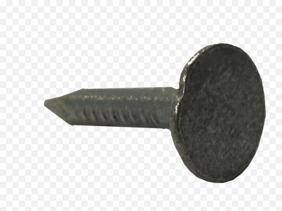 Elh Galv 20mm Clout Nails 500g Png