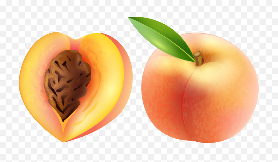 Large Peach Clipart Image - Peach Clipart Png,Peaches Png