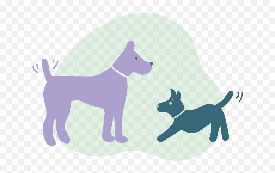 Ggu0027s Sleep And Treat Doggy Daycare Serving Pet Parents In - Icons That Describe Yourself Png,Pets Icon