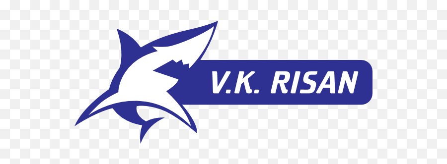 Vk Risan Logo Download - Logo Icon Png Svg Language,Vk Icon