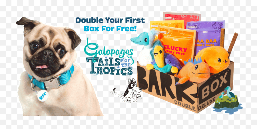 Barkbox - The Monthly Dog Toy And Treat Box Martingale Png,Watch Dogs Desktop Icon