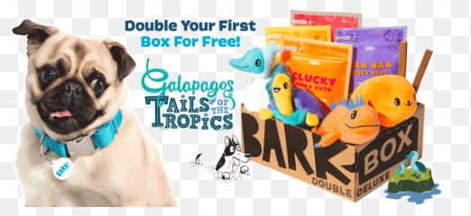 Barkbox - The Monthly Dog Toy and Treat Martingale png