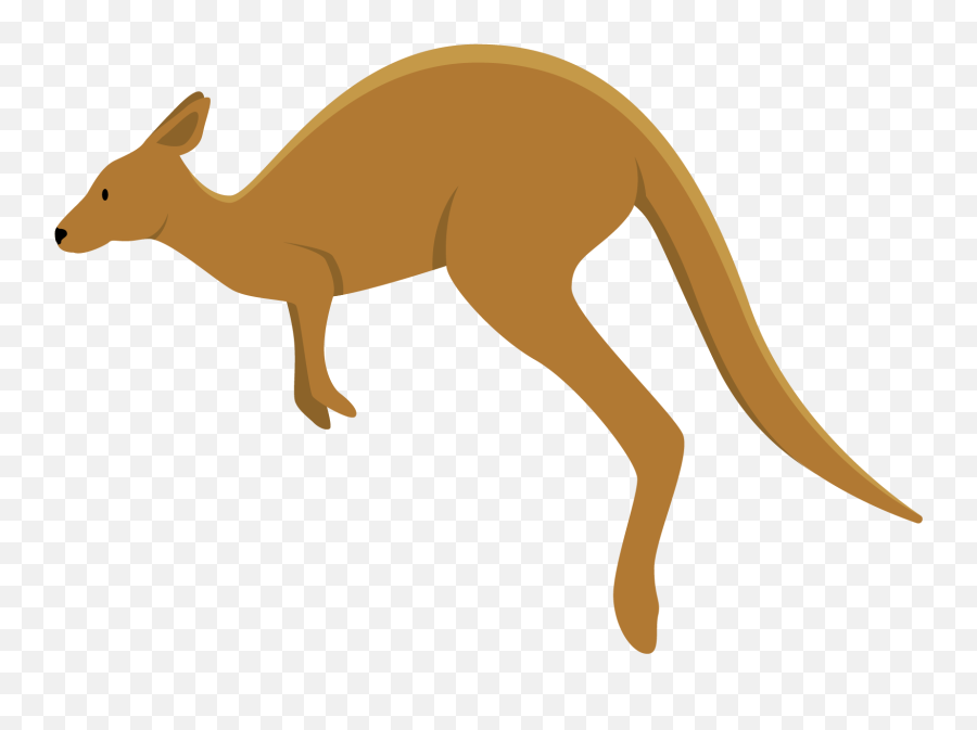 Kangaroo Clipart Transparent Background Png