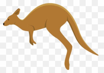 Kangaroo Clipart Transparent Background Png