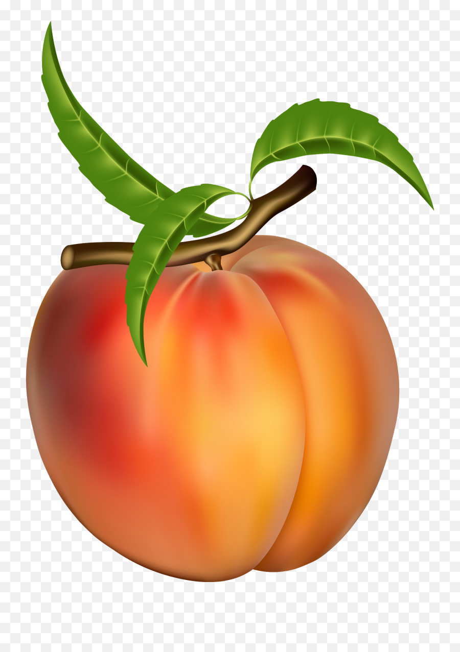 Cartoon Peach Png - Peach Png Image U0026 Peach Png Clipart Peach Fruit I Clipart,Tomato Clipart Png