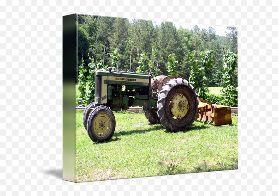 John Deere Tractor By Lisa Reid - Tractor Png,John Deere Tractor Png