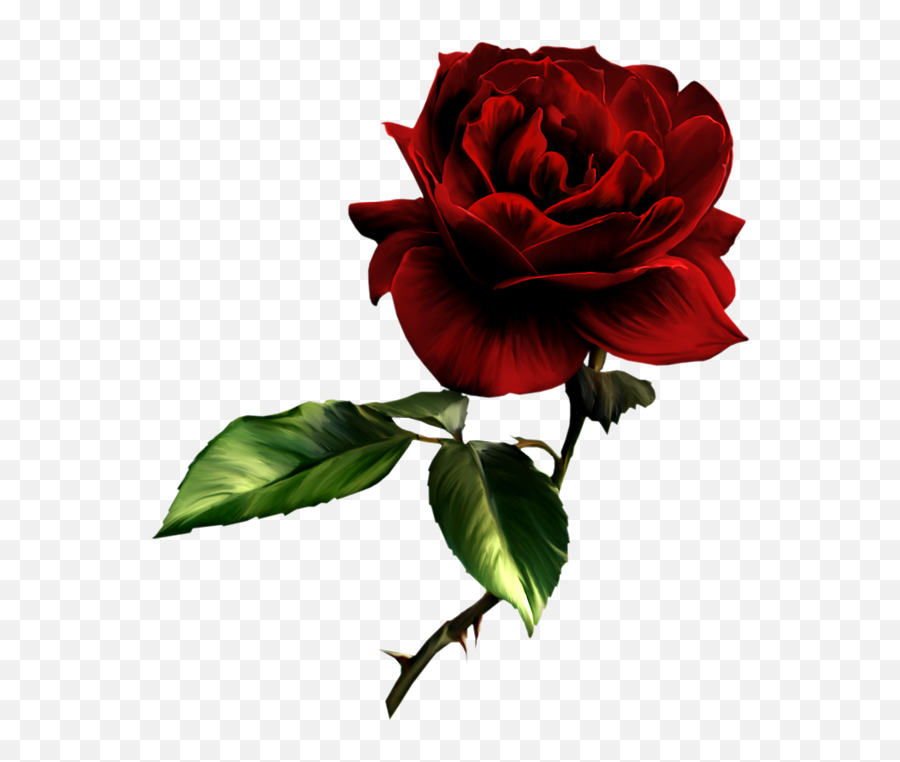 Free Red Rose Transparent Background Download Clip Art - Dark Red Rose Painting Png,Red Rose Png