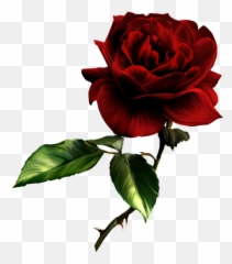 Free Red Rose Transparent Background Download Clip Art - Dark Red Rose Painting Png,Red Rose Png