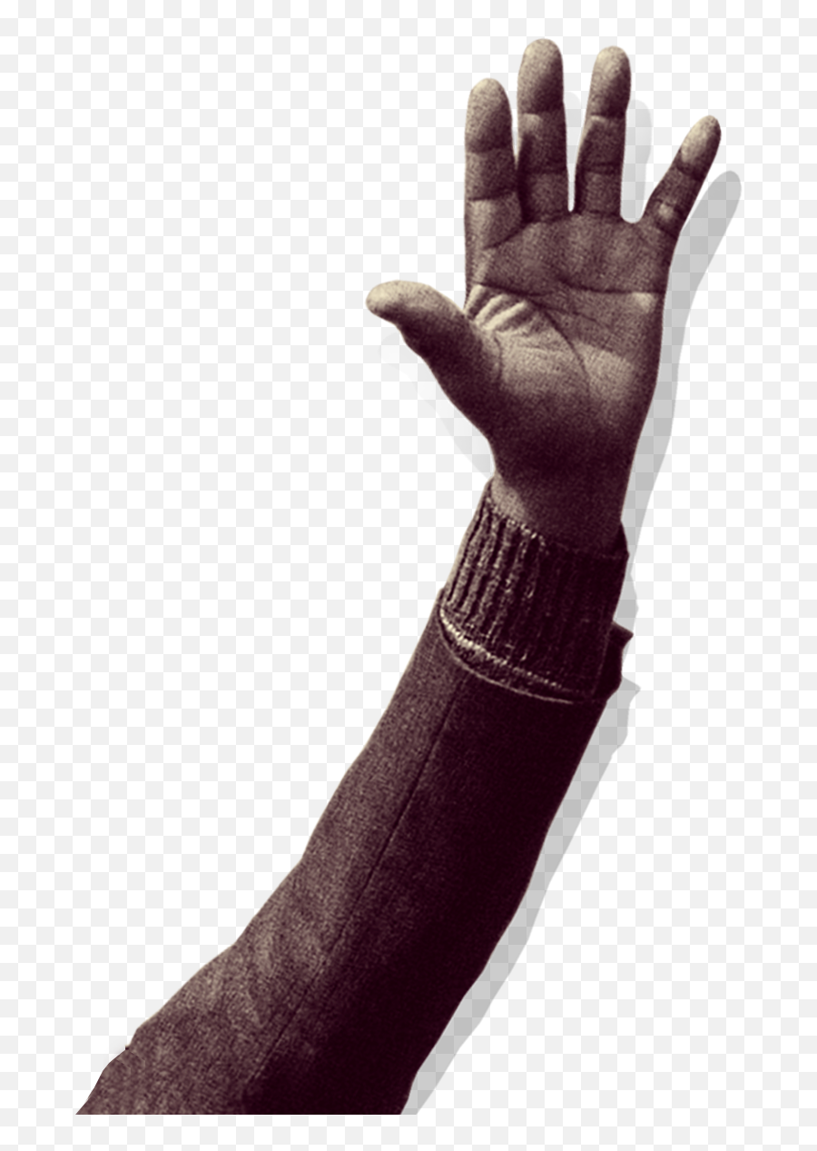 Back Of Hand Png - Thumb,Back Of Hand Png