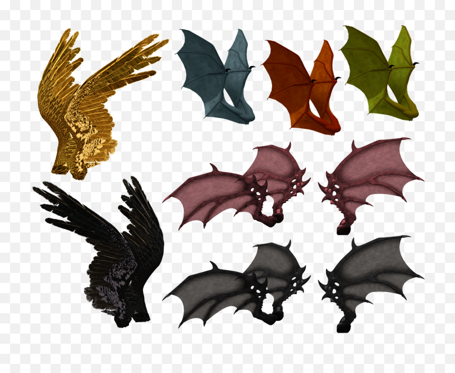 Wing Wings Feather - Monster Png,Demon Wings Png