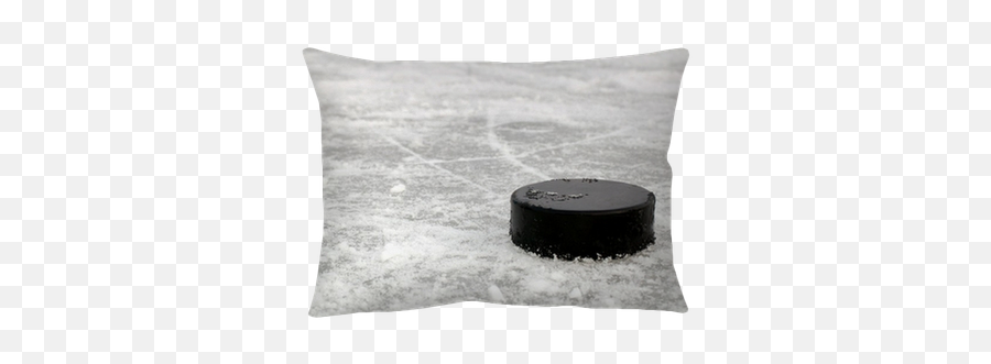 Black Hockey Puck - We Live To Change Cushion Png,Hockey Rink Png