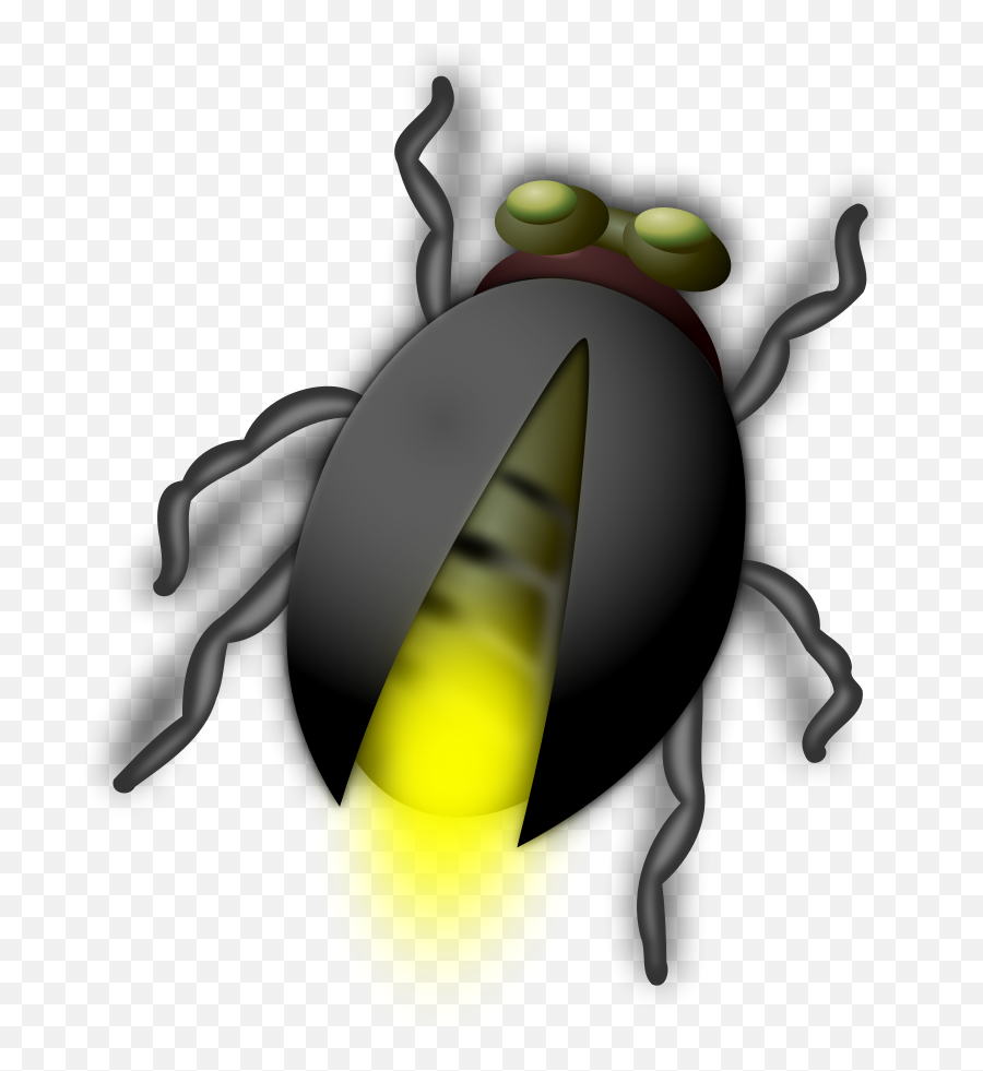 Bug Clip Art - Autumn Family Programs Powerpoint Png,Fireflies Png