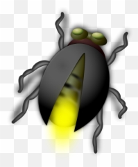 Bug Clip Art - Autumn Family Programs Powerpoint Png,Fireflies Png