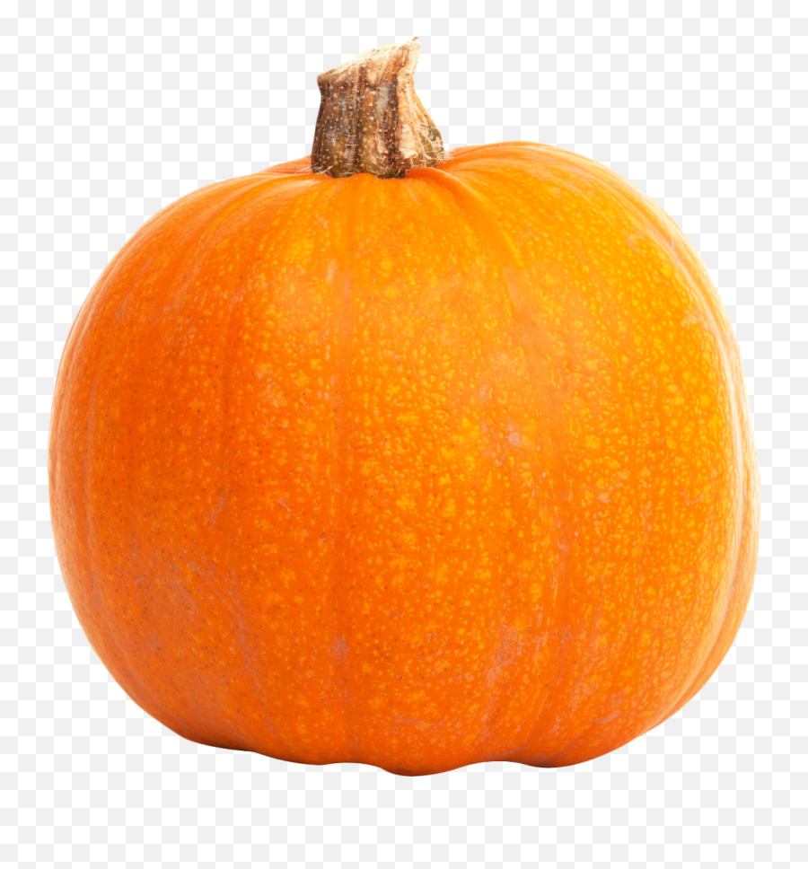Pumpkin Png - Pumpkin,Pumpkins Png