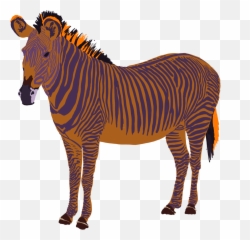 Zebra Original Ordinary Png
