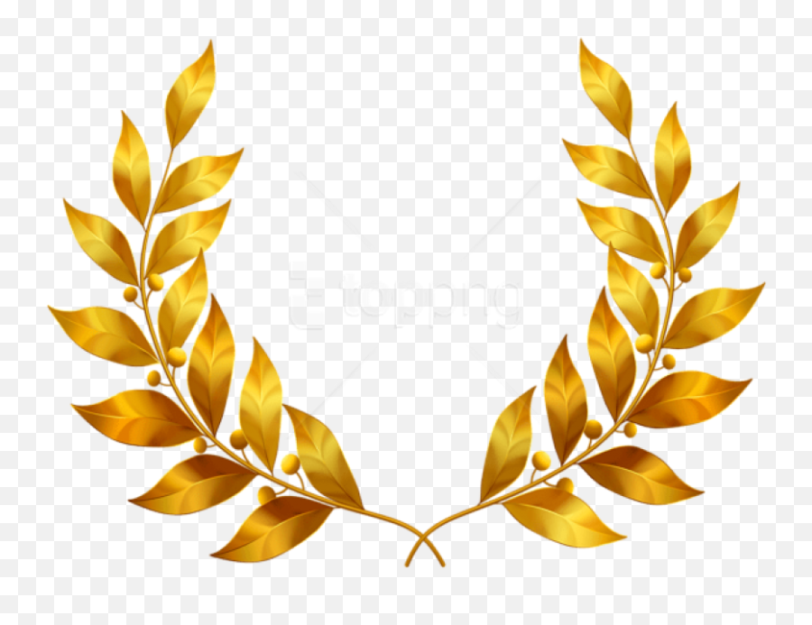 Download Free Png Laurel Leaves Clipart Photo - Transparent Laurel Leaf Png,Leaf Clipart Transparent
